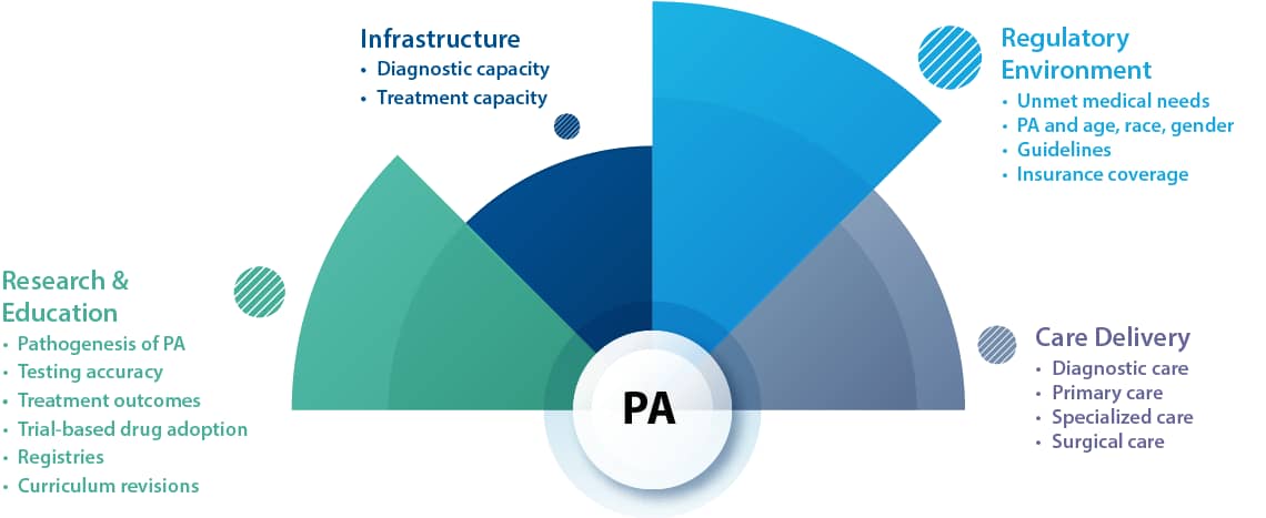 Graphic Illustrating Problem Dimensions for Addressing Primary Aldosteronism