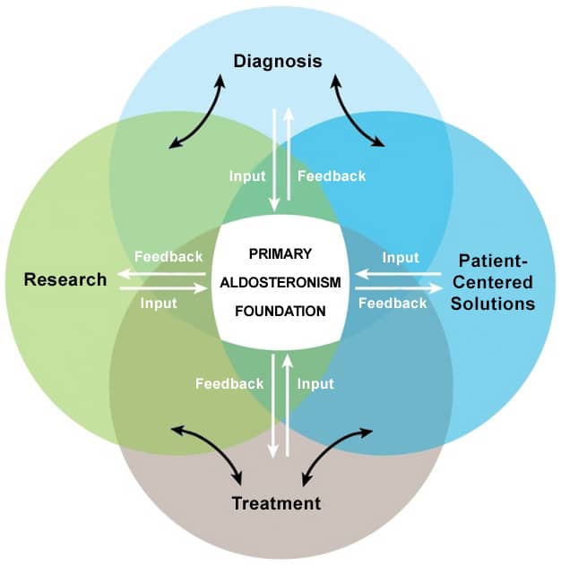 An illustration showing how the various goals of the PA Foundation's mission relate to each other